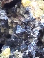 Hundreds of spinel crystals with fassaite Trentino Italy