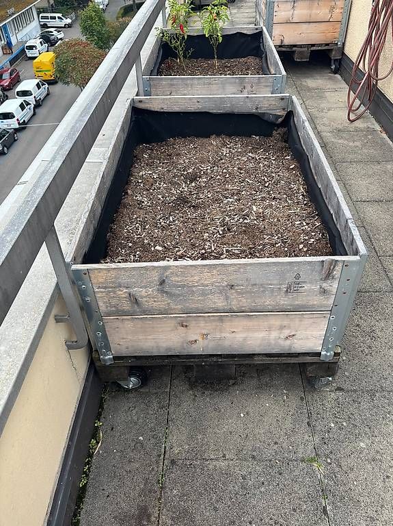 Pots de fleurs: Hochbeet (mit Rollen) – D'occasion à Bern par simi_imis 1