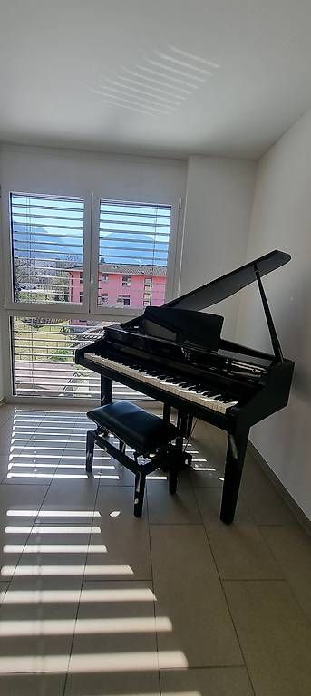 Musikinstrumente: Pianoforte - Viscount Concerto 500 – Gebraucht aus Samedan von nic_k9rt