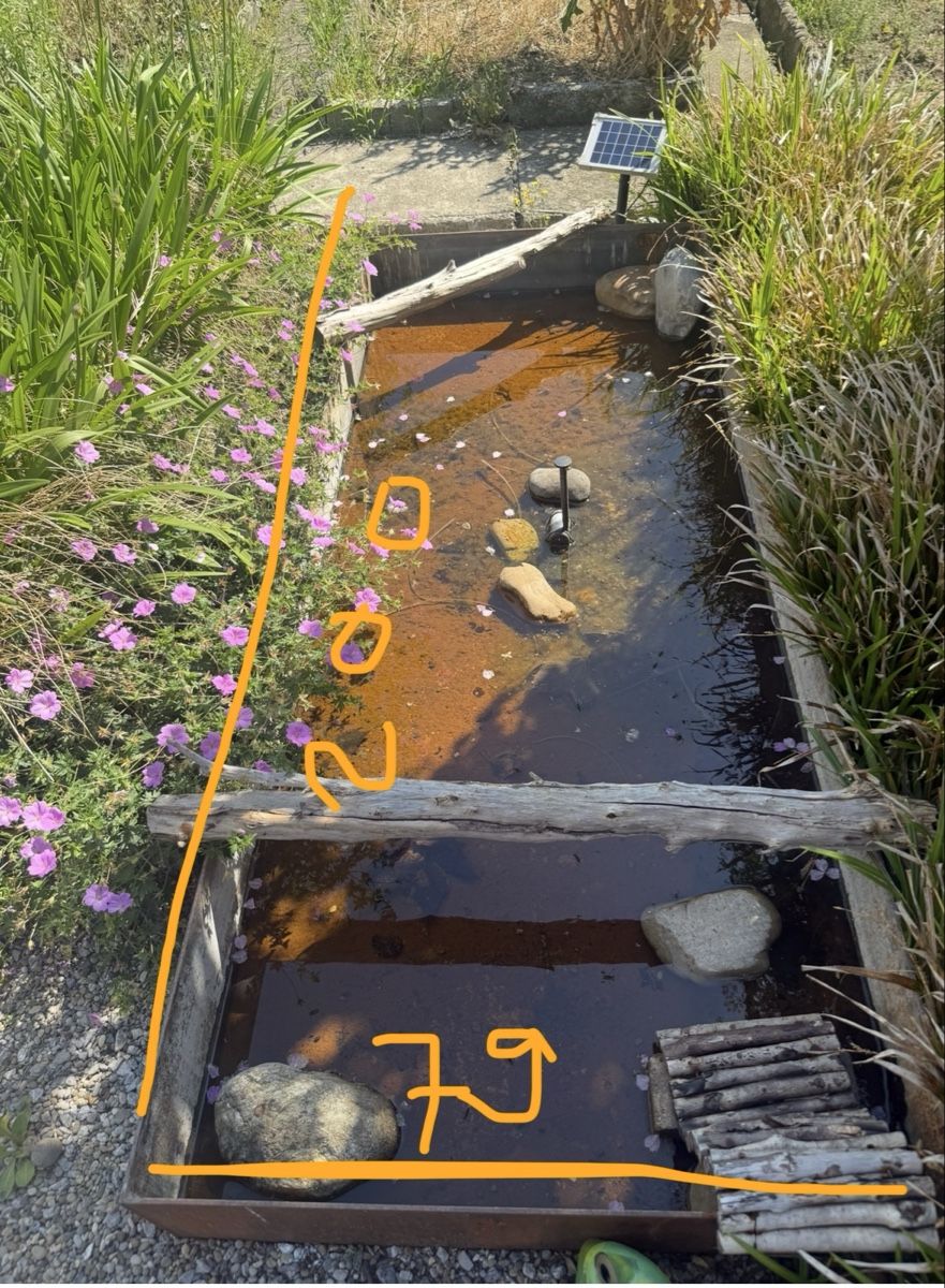 Stagni & Fontane ornamentali: Mini Teich mit Solarbelueftung und Solarpanel 79 cm – Usato da Täuffelen venduto da valdete1987