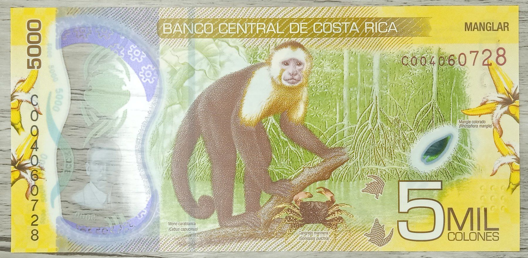 Banconote: Costa Rica 5000 Colones Polymer UNC – Nuovo (secondo la descrizione) da Cousset venduto da Patricio77 1