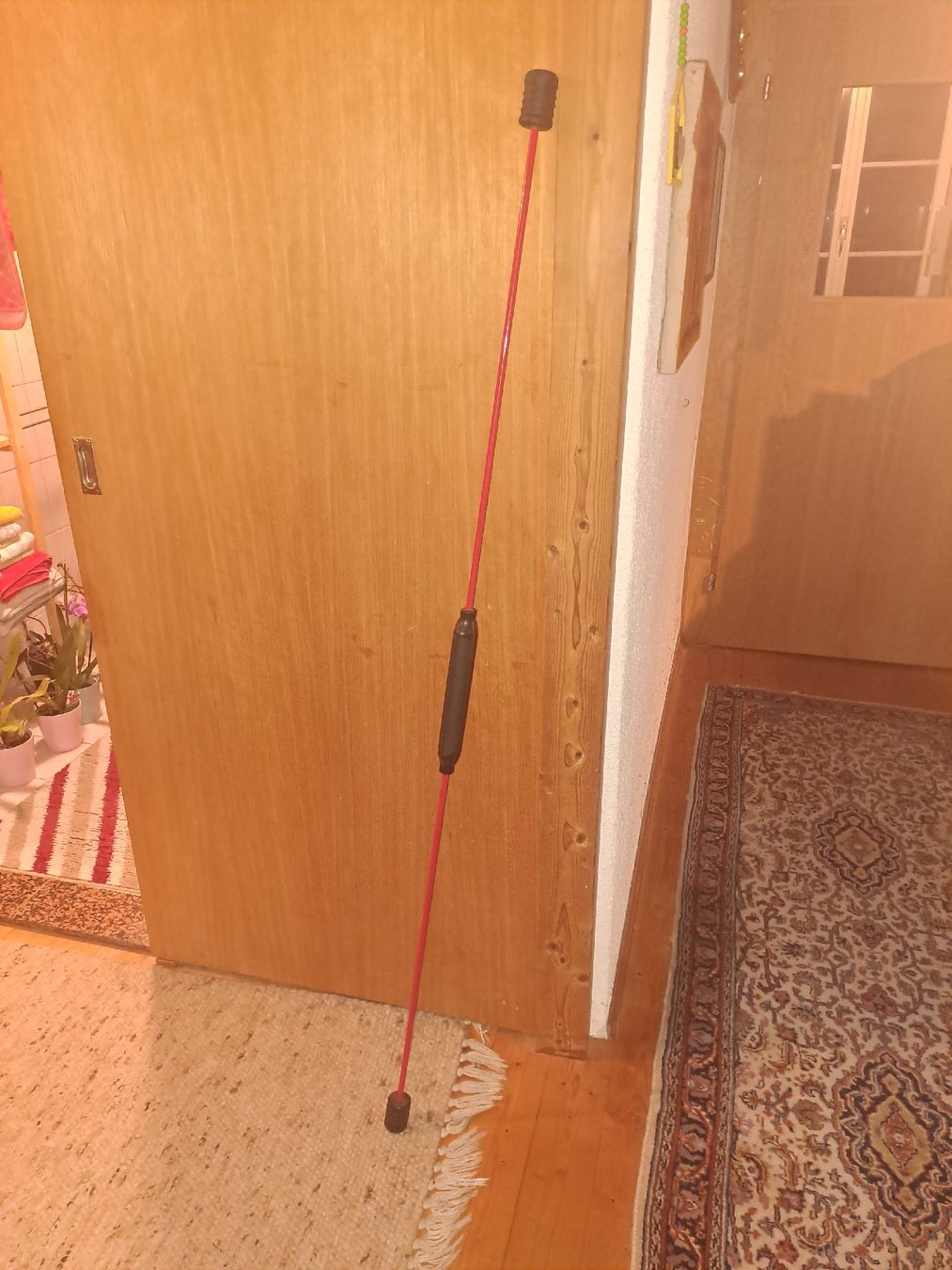 Hometrainer: Swingstick, Flexi Bar, Schwingstab – Usato da Laupen ZH venduto da tomischmidt