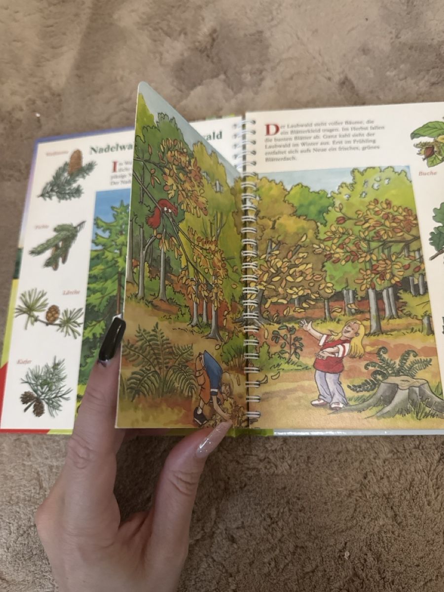 Bücher: Kinderbuch, Im Wald, Besserwisser Mini – Gebraucht aus Horgen von AA.AW55 1