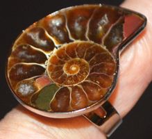 Ring L-6171 – Ammonit Fossil – Grössenverstellbar