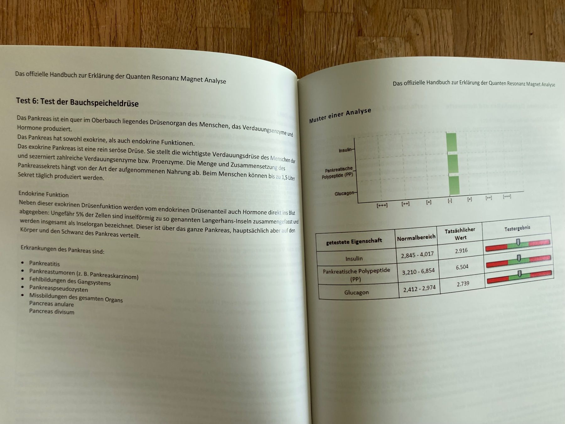 Mesurer: Quanten Resonanz Magnet Analyse Gerät mit Buch VDM-Academy – D'occasion à Erstfeld par Pfiffholder 5