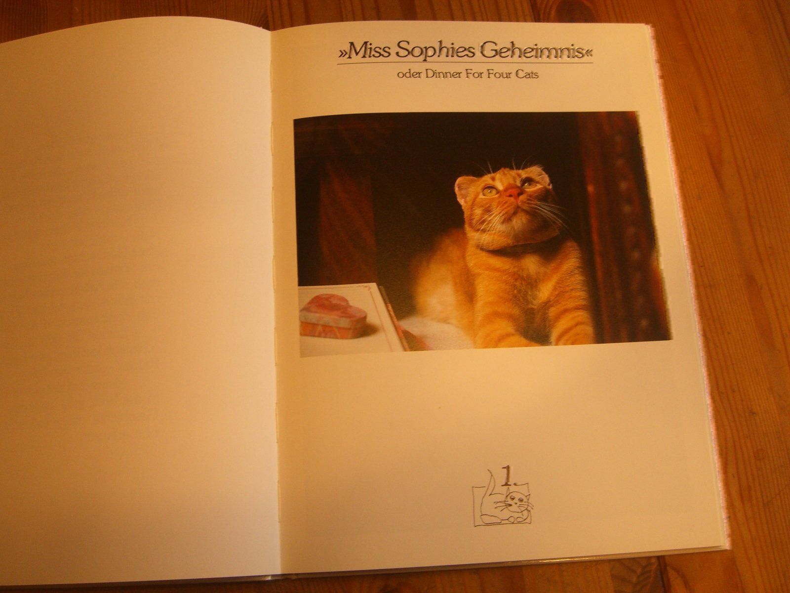 Libri: wunderschönes Katzenbuch "Katz & Co." – Nuovo (secondo la descrizione) da Winterthur venduto da Gaia 2