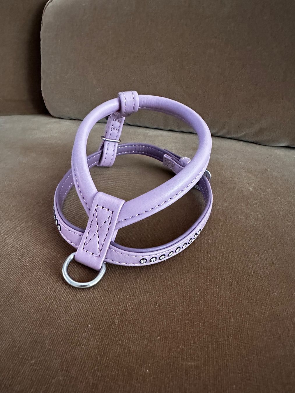 Leine & Halsband: Hundegeschirr Lavendel, violett mit Strass – Neu (gemäss Beschreibung) aus Männedorf von Bina032 2