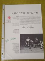 Aroser Sturm  - Poltera Brüder - original signiert