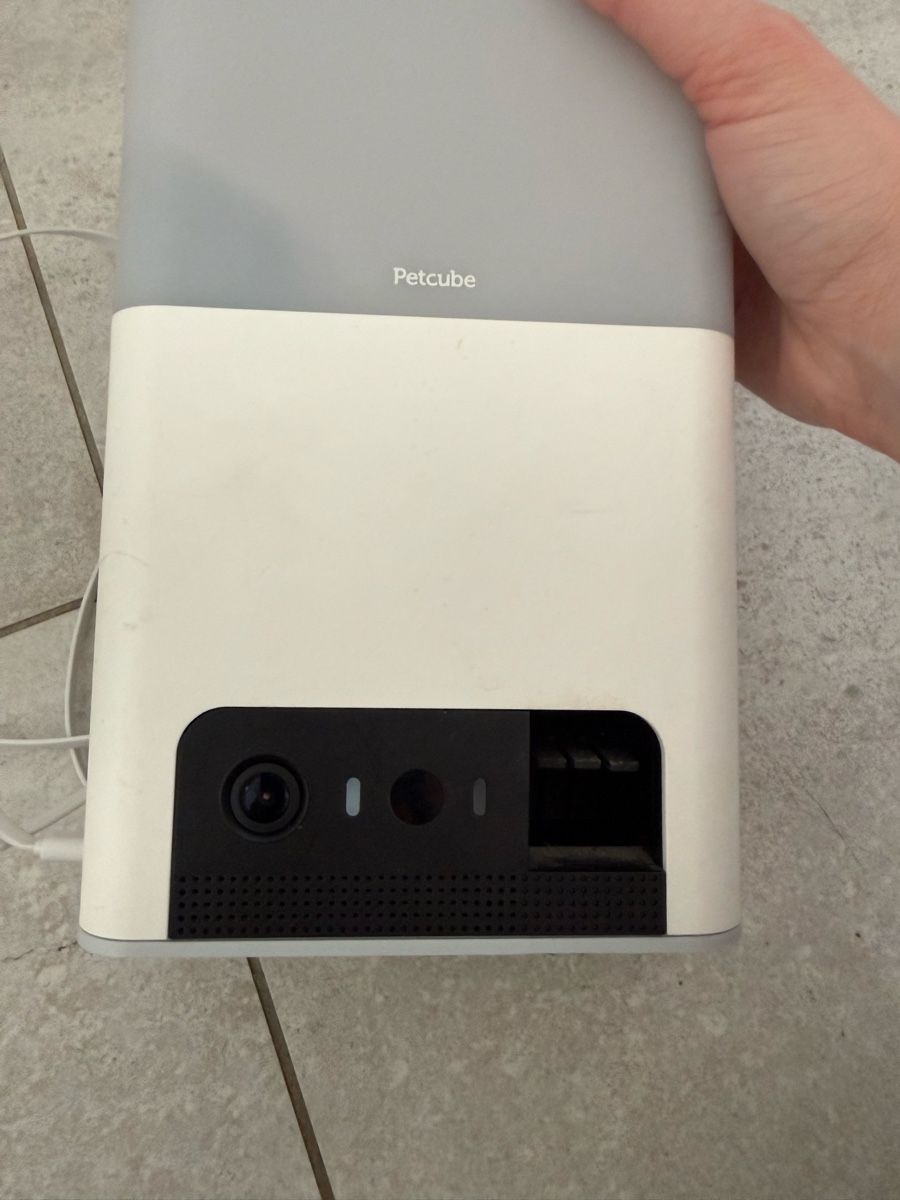 Videocamere: Petcube caméra/ distributeur de croquettes et caméra simple – Usato da Gempenach venduto da rebec97 1