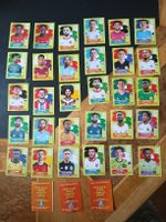 30 Panini 26 + 3 Digital