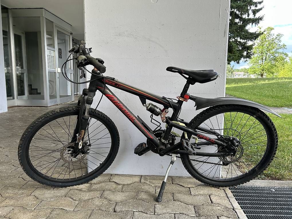 Biciclette: Mountainbike California – Usato da Volketswil venduto da Sersisaa 2