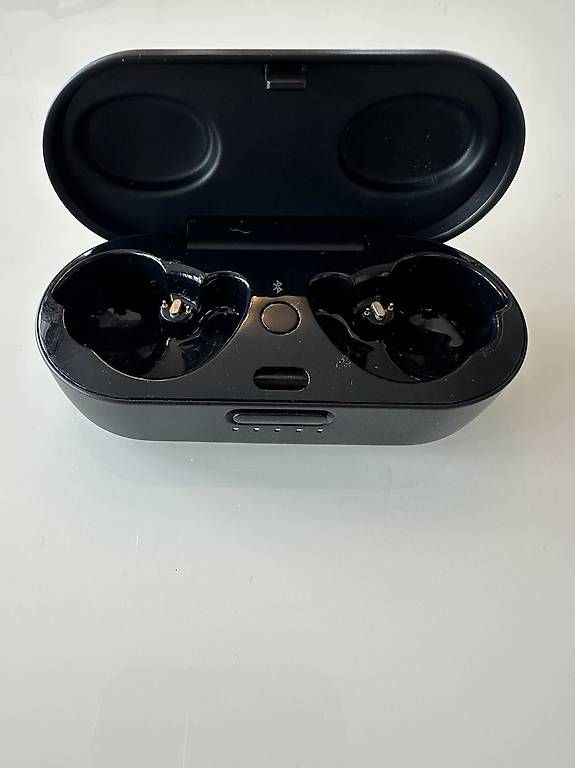 Caricabatterie: Bose Charging case – Usato da schwarzsee venduto da seb_5czf 1