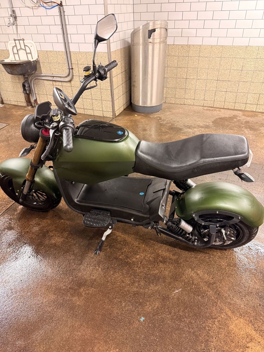 Züriflizzer Scooter: City Max Rs Pro – Usato da Zürich venduto da jsa_b5xn 4