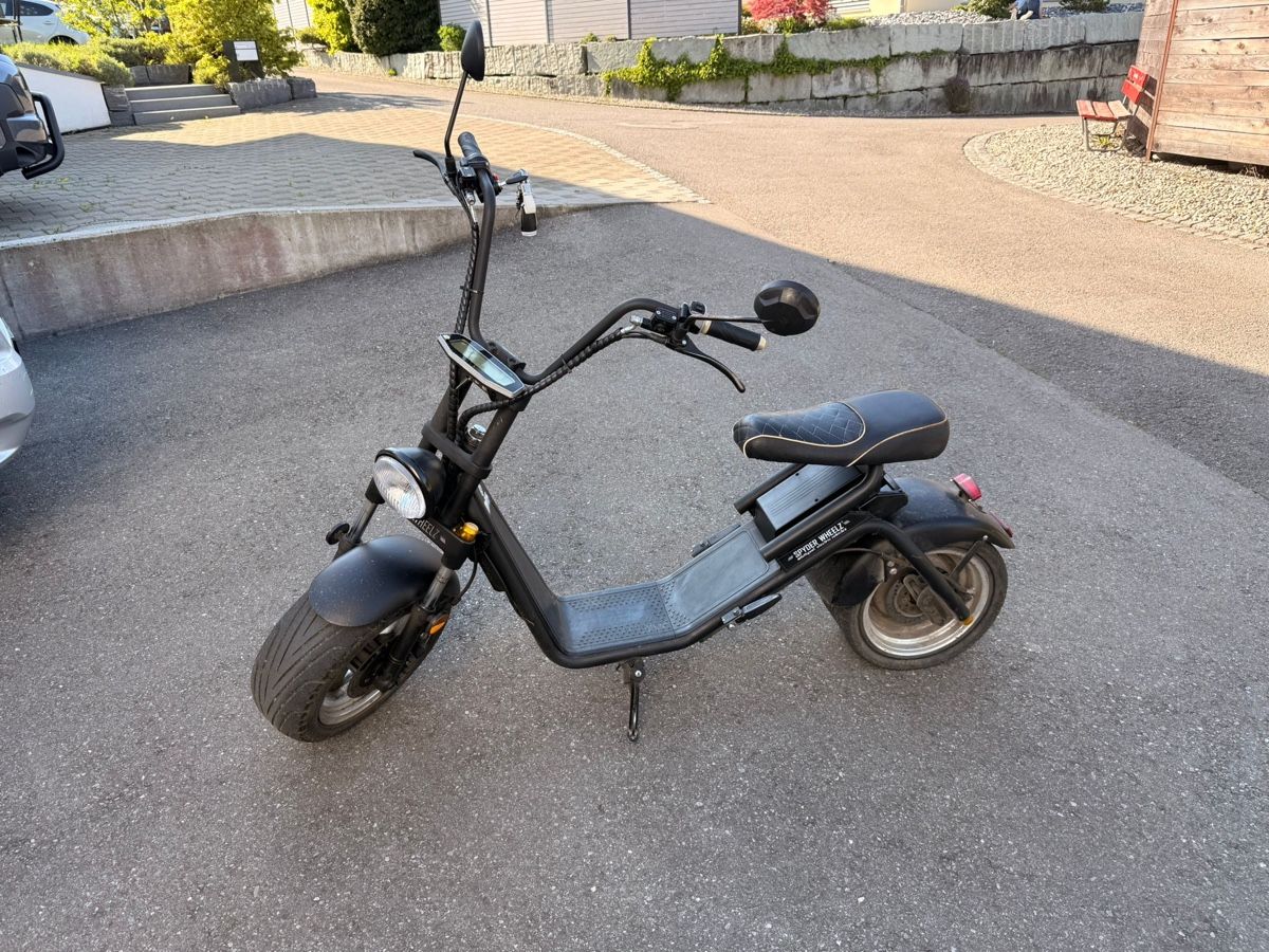 Voiturettes électriques: Elektro-Bike – D'occasion à Altstätten SG par guterman 1