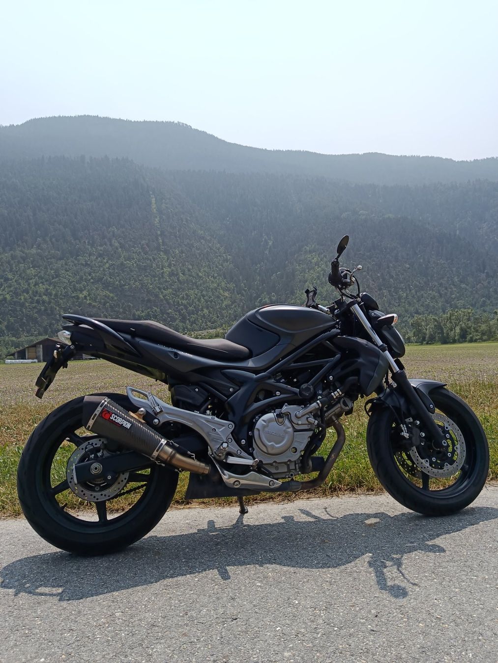 Suzuki Strada: Suzuki Gladius 650,   25 kW – Usato da Visp venduto da gun_bhm7 1