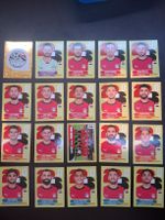 Panini ganzes Team Ägypten 