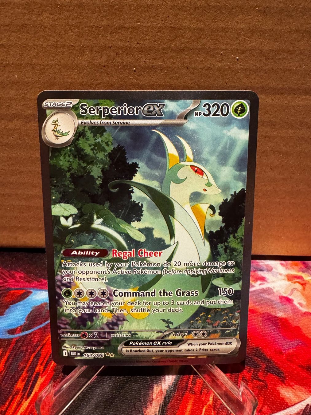 Pokémon Carte collezionabili: Pokémon Serperior ex SIR 164/086 Black Bolt EN – Usato da Männedorf venduto da bir_gt85