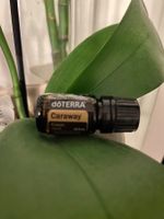 DoTerra Caraway (echter Kümmel) OVP ätherisches Öl