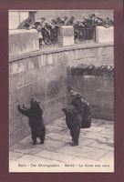 BERN - Bärengraben - 1924