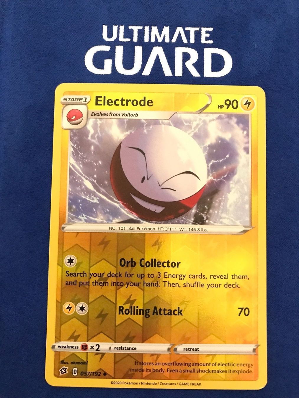Pokémon Carte collezionabili: Pokemon TCG - Electrode EN reverse Holo – Nuovo (secondo la descrizione) da Lyss venduto da DeaDiLuna