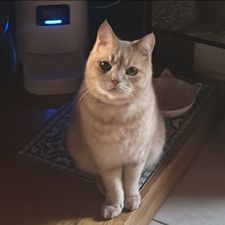 Profile image of Alexia-deval