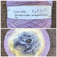 Wolle Cara Mia 200g 1000m Baumwolle Polyacryl lila bunt