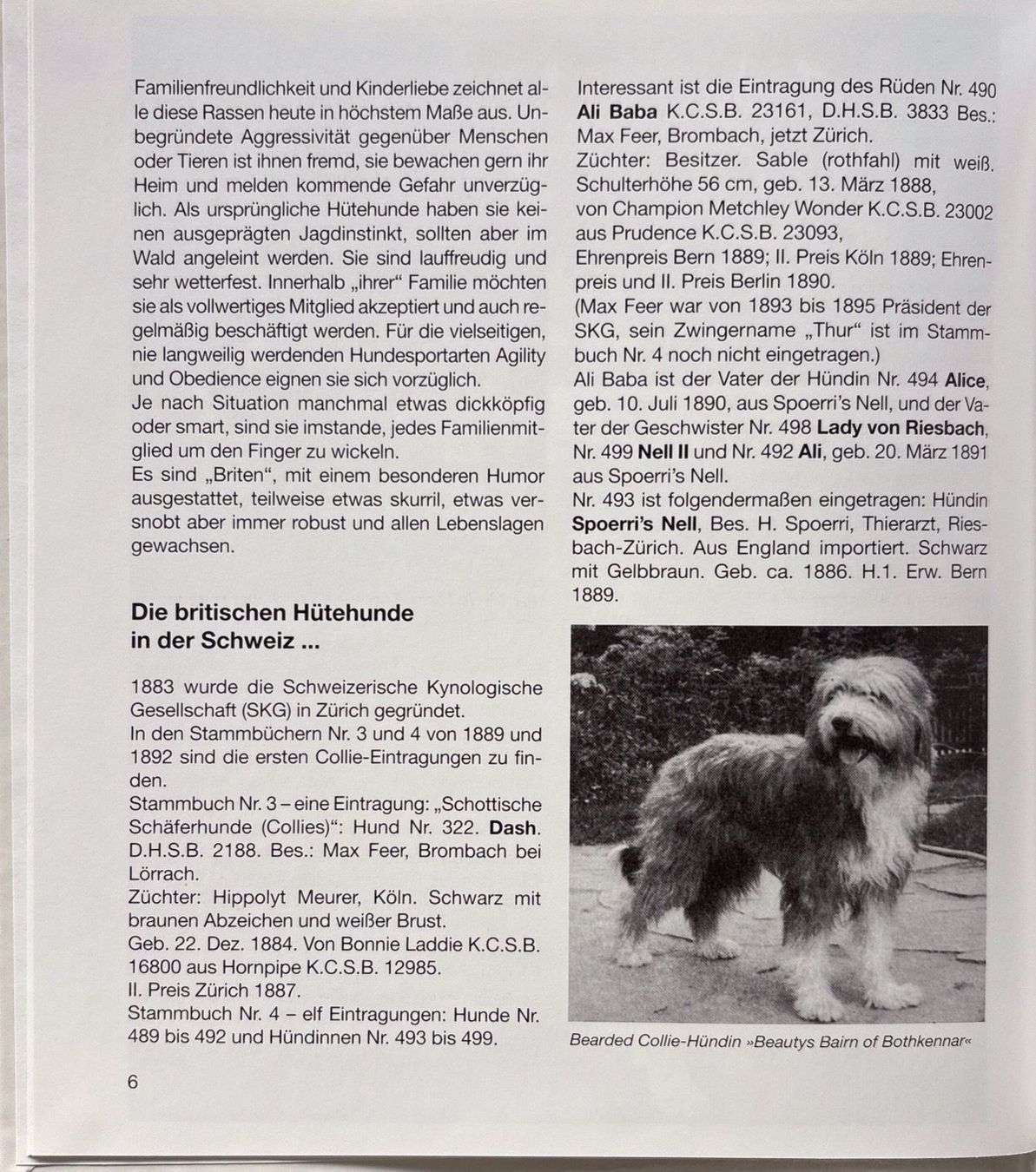 Libri: Müller Barbara, Britische Hütehunde – Nuovo (secondo la descrizione) da Sarnen venduto da Livres 5