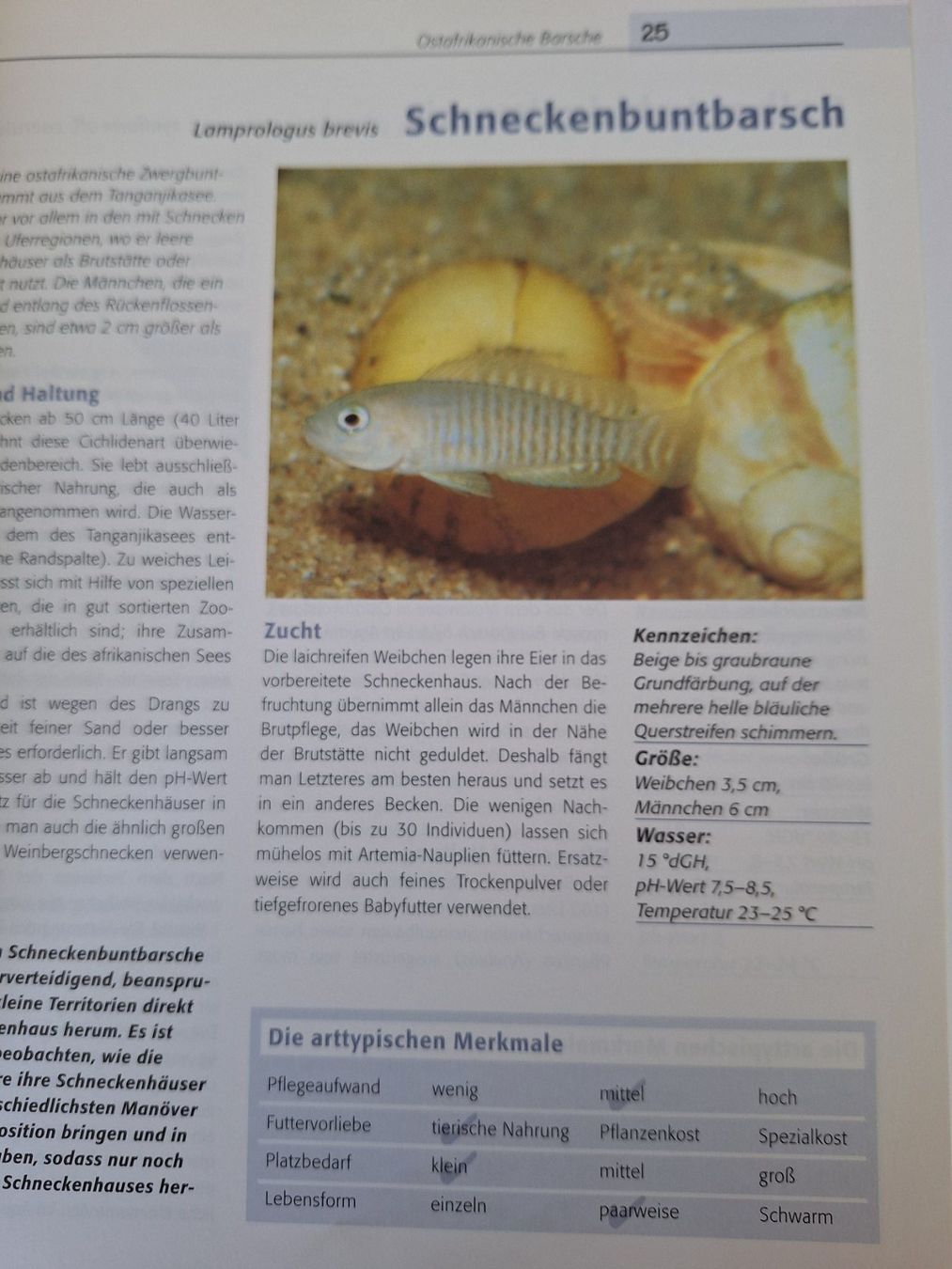 Livres: Aquarienfische Buch – D'occasion à Zürich par t24_de 4