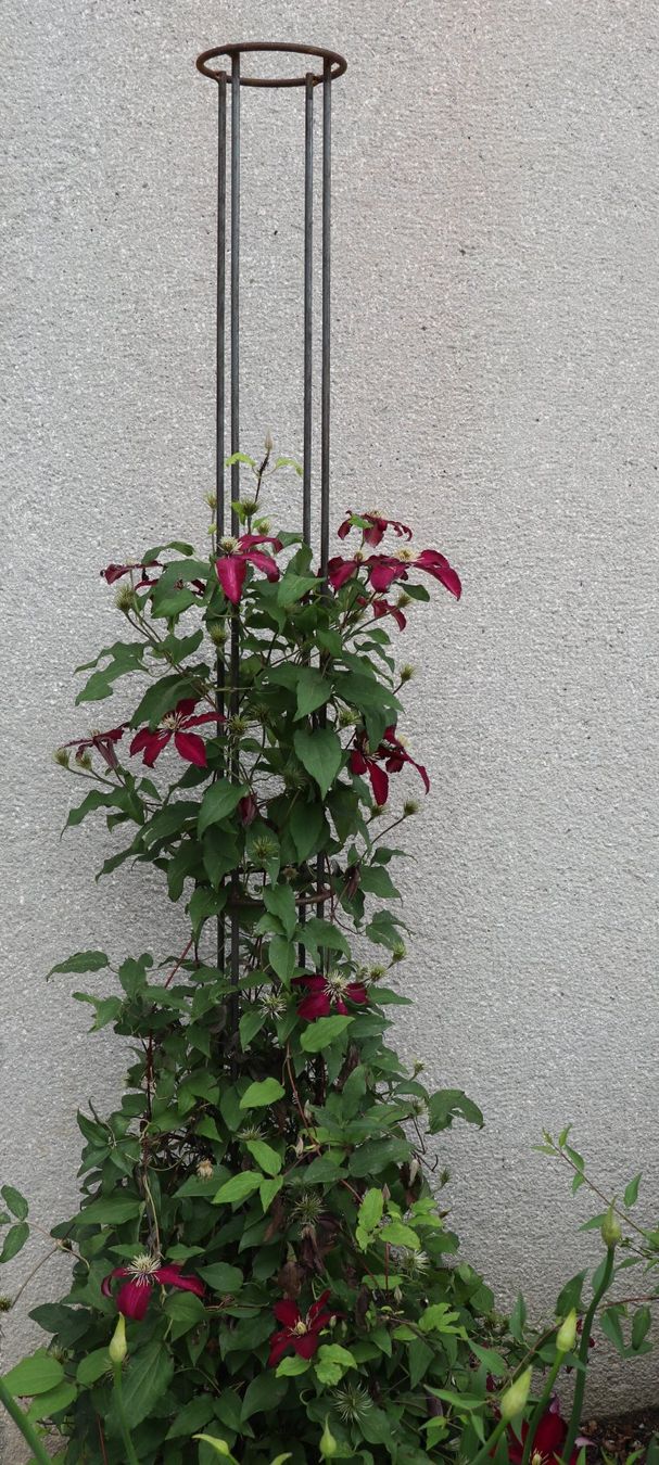 Altre Decorazioni per giardino: Klettersäule, Rankhilfe, Staudenstütze – Nuovo (secondo la descrizione) da Riedt b. Erlen venduto da BisD 3