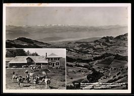 AK Libingen, Bergwirtschaft Kreuzegg, Gebirgs-Panorama
