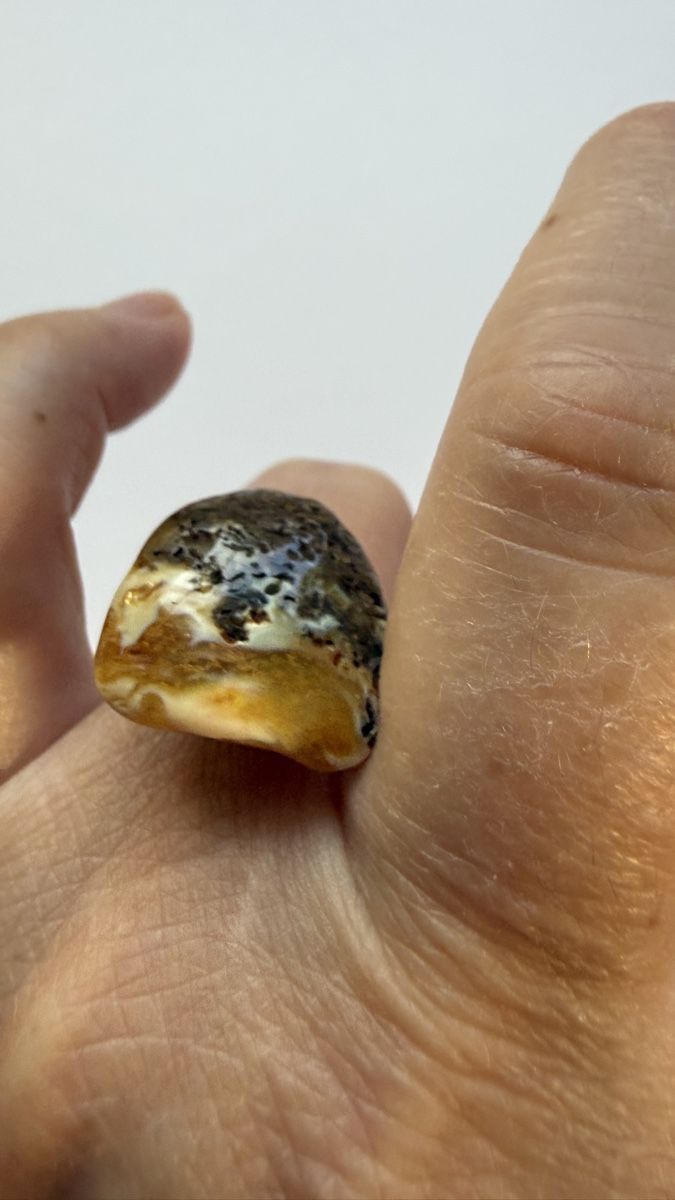 Anelli: Silberring, zweifarbige Bernstein, regulierbar – Nuovo e nell'imballaggio originale da Ebikon venduto da Leonidas2 7