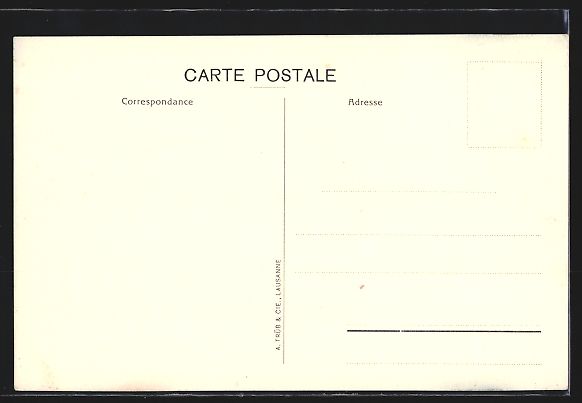 Cartoline postali: Neuchatel, Hotel Terminus et des Alpes,  – Usato da Berlin venduto da bartko-reher 1