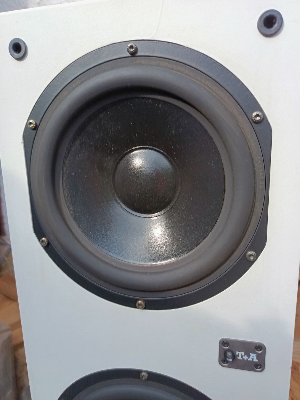 T+A Lautsprecher: Subwoofer T+A Criterion TAW 1500A – Gebraucht aus Steffisburg von zulg03 4