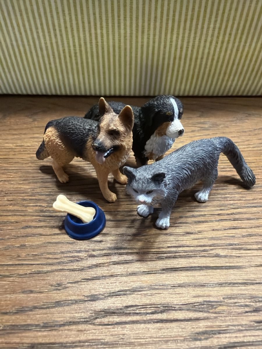 Schleich Giocattoli: Schleich Hund und Katz Set 1  – Usato da Auw venduto da grisu81