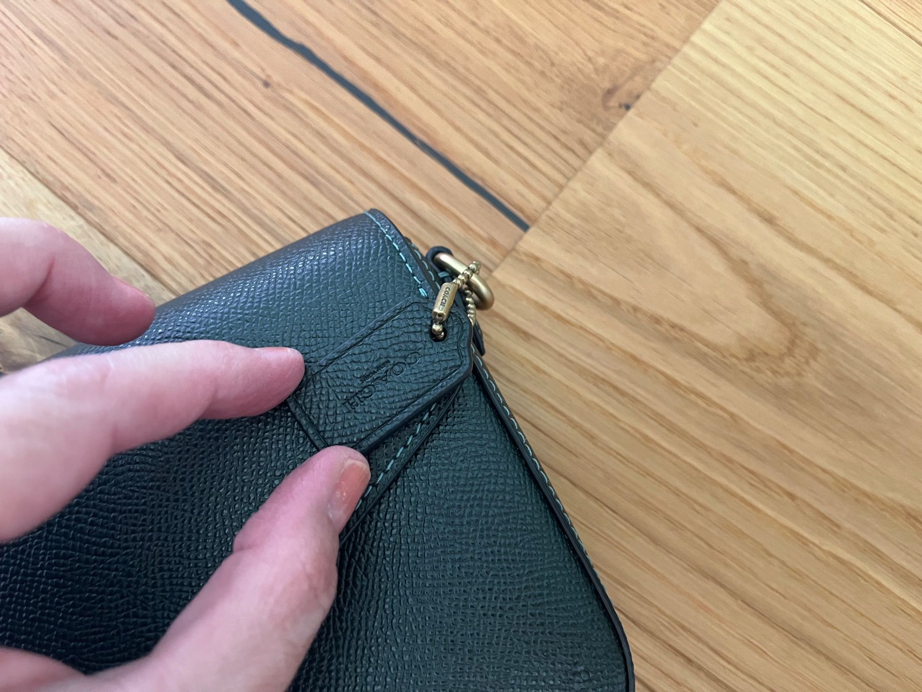 Coach Sacs femmes: Coach WYN crossbody Amazon green – D'occasion à Reinach BL par pinklemonade 1