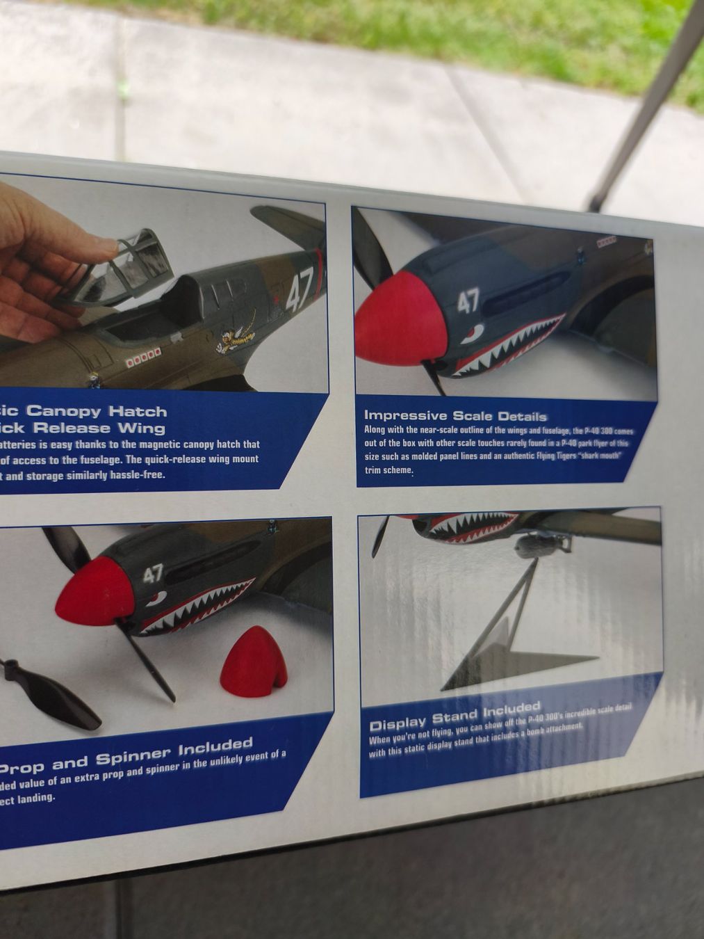 E-Flite Modellismo RC: Eflite P40 Warhawk – Nuovo e nell'imballaggio originale da Münchwilen TG venduto da PPELF 1