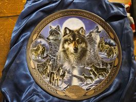 Twilight Guardians Sammlerteller James Meger (Q)