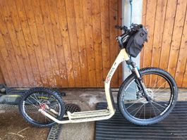 Dog Scooter Kostka 
