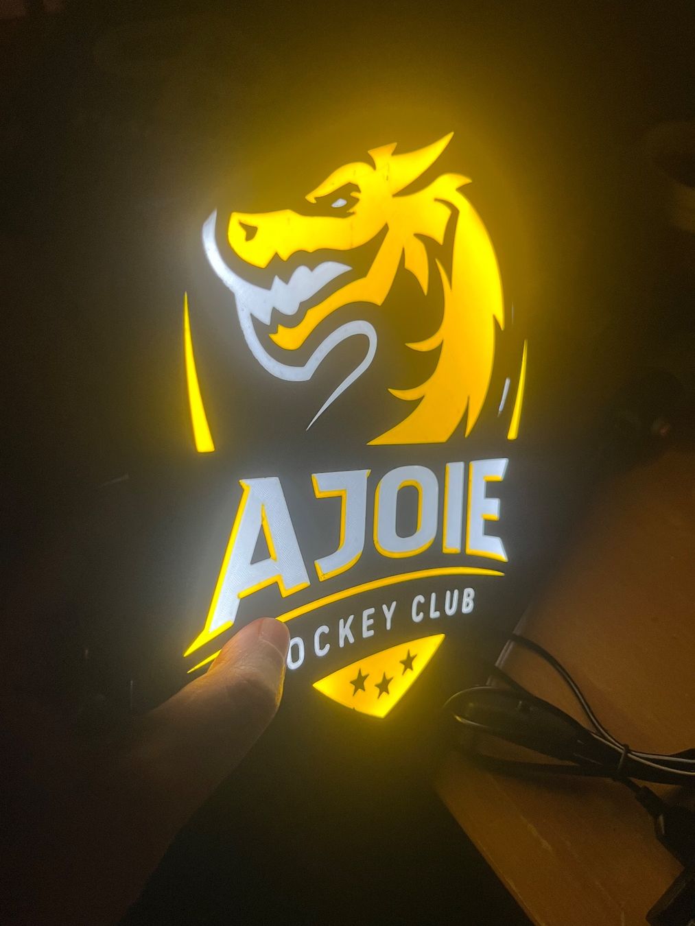 Alle Dekorationen: Lightbox HEC Ajoie – Gebraucht aus Noville von Berlusconi55 1