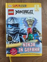 Lego Ninjago: Ninja in Gefahr