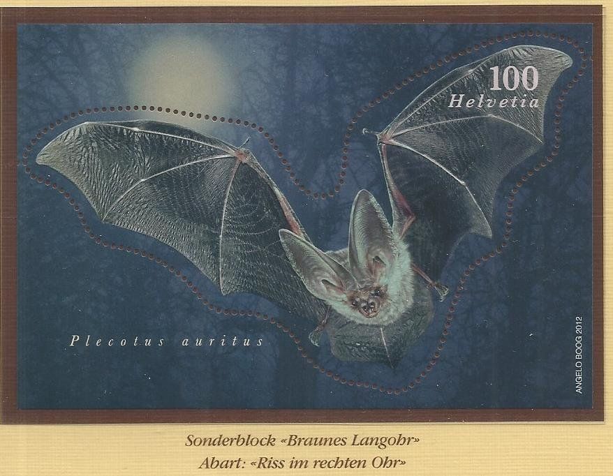 ** ABART:::RISS IM RECHTEN OHR / SONDERBLOCK-FLEDERMAUS ** (Gebraucht ...