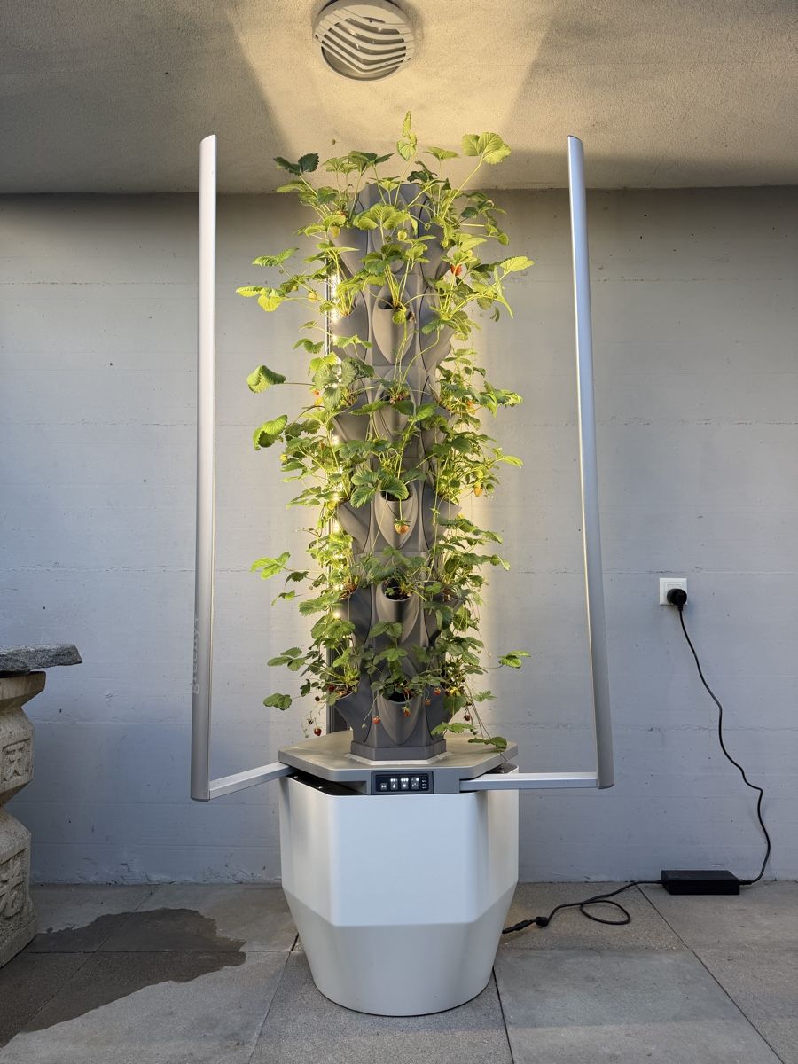 Altro: Garten System Greeny+ – Usato da Gossau SG venduto da car_7vlt 2