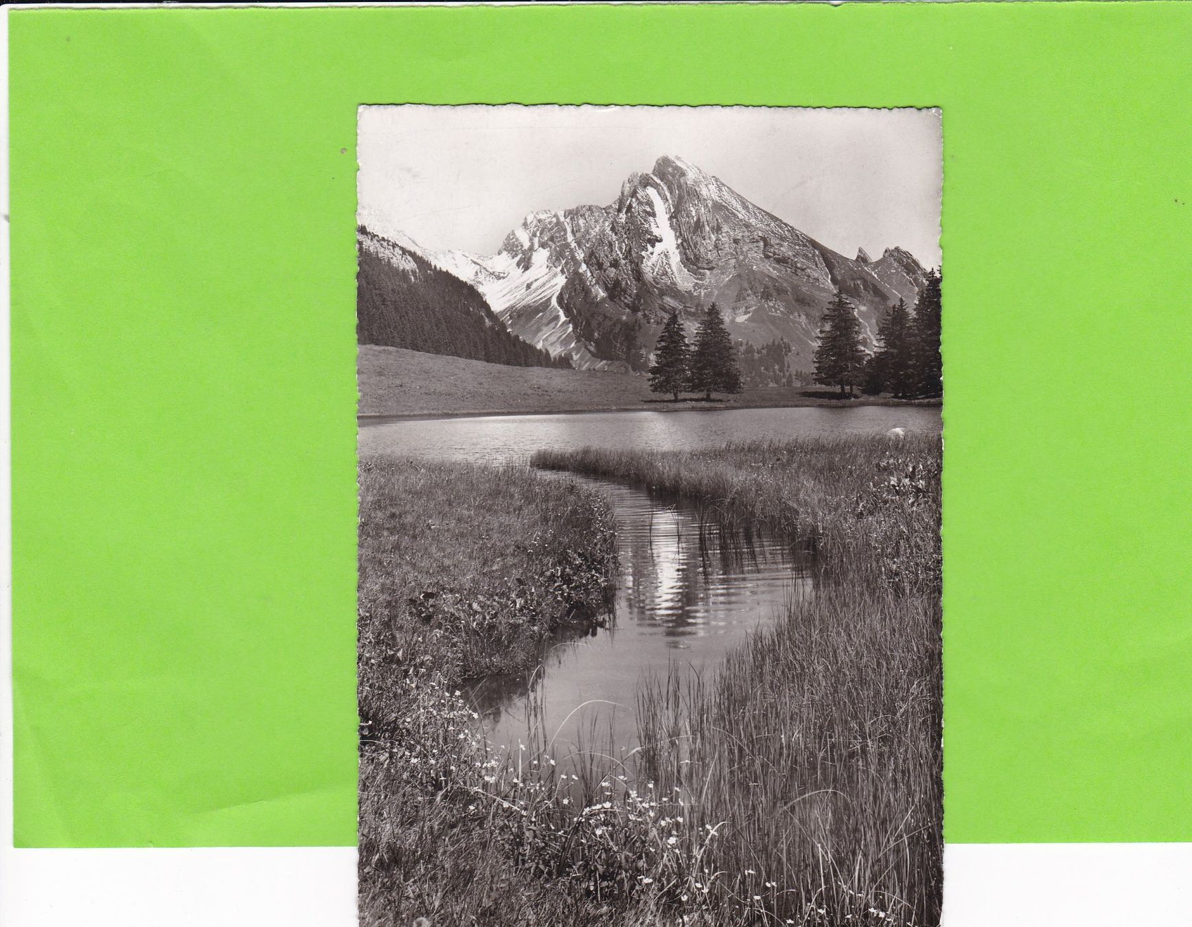 Cartoline postali: Gräppelensee mit Schafberg--Toggenburg – Usato da St. Peterzell venduto da neckertal