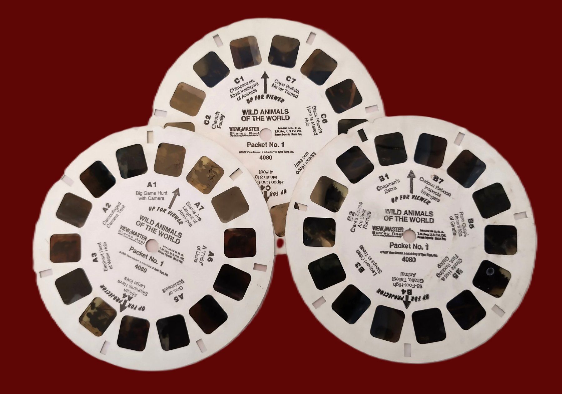 View-master Giocattoli: View-Master / 3 Bildscheiben / Wild Animals / ab Fr. 1.- – Usato da Bellach venduto da JingleJerry