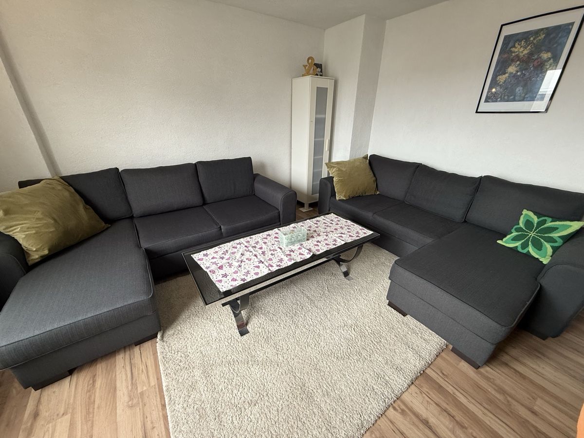 Divani: Sofa – Usato da Schlieren venduto da Flower5 9