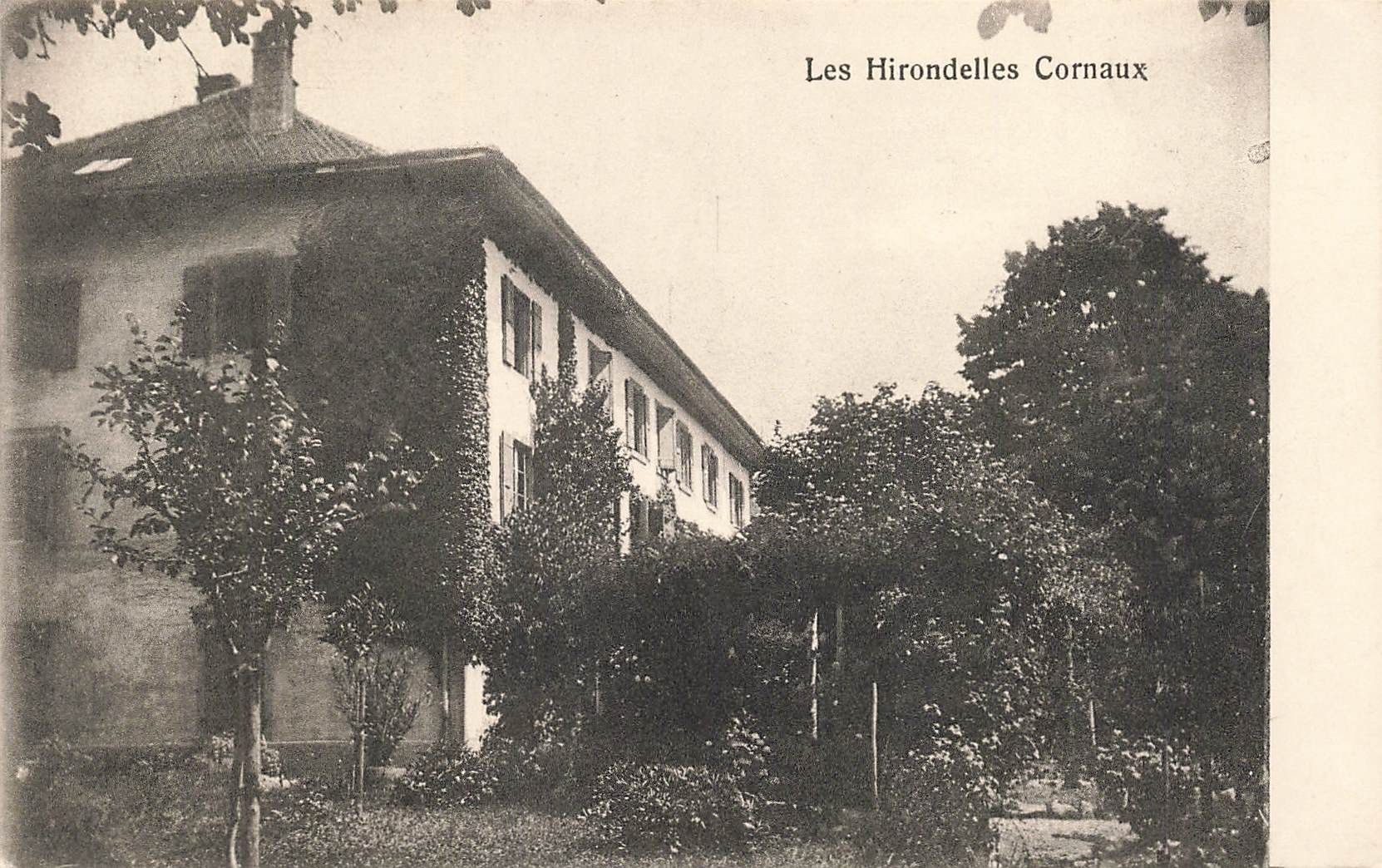 Ansichtskarten: Les hirondelles cornaux – Gebraucht aus Biasca von Blenio71