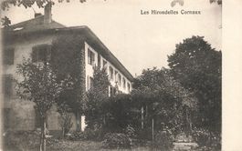 Les hirondelles cornaux
