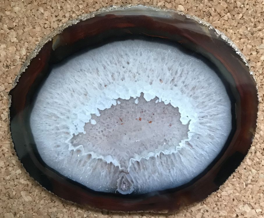 STEIN Kaufen auf Ricardo