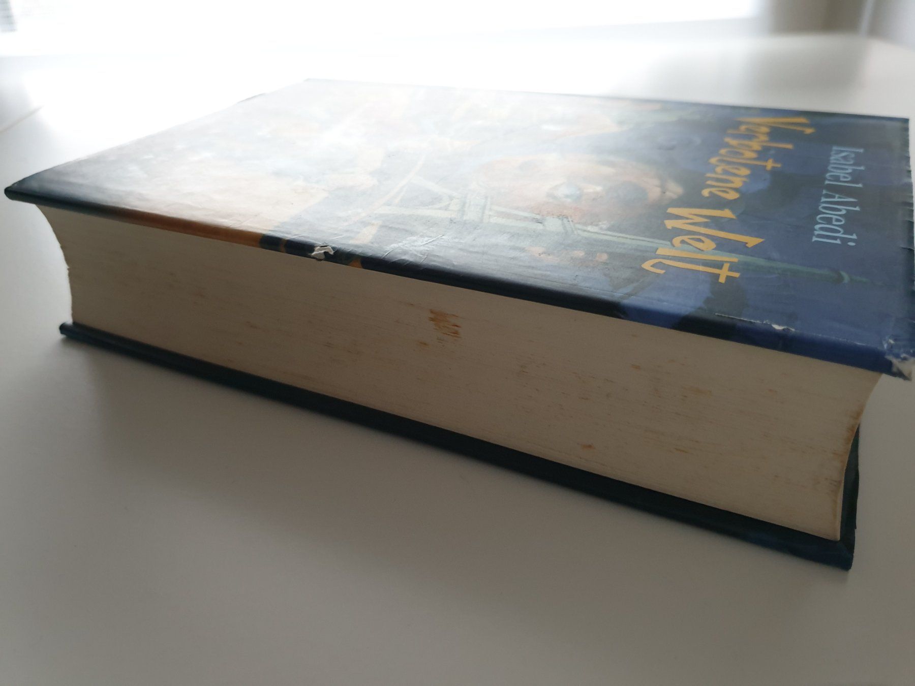 Libri: Verbotene Welt - Isabel Abedi Buch – Usato da Zürich venduto da pau_y8mv 4