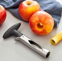 PAMPERED CHEF Entkerner